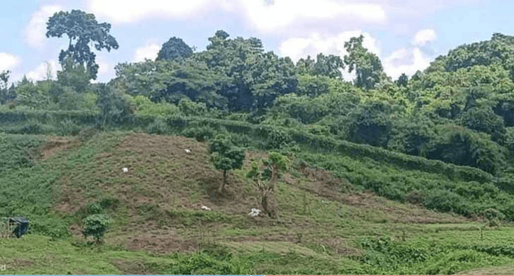 <span>মিয়ানমার / </span>সীমান্তে একদিনে ৫ বাংলাদেশি গুলিবিদ্ধ
