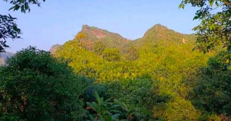 টেকনাফে বন বিভাগের ১৭ বনকর্মীকে অপহরণ