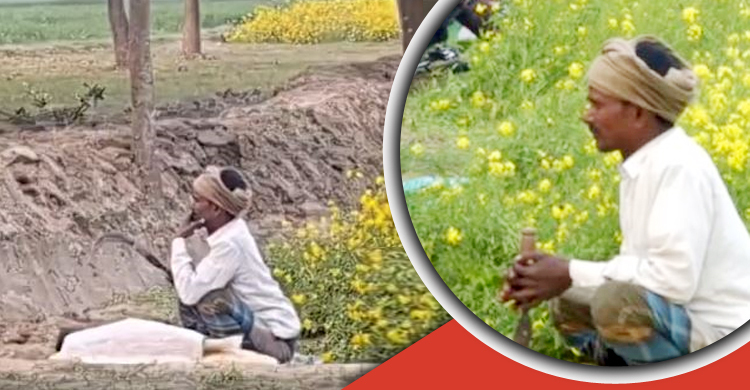 সীমান্তের একটি ছবি ঘিরে নেটদুনিয়ায় প্রশংসা