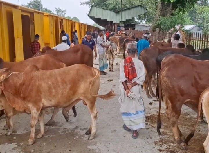 গরু নিয়ে ঢাকার উদ্দেশ্যে ক্যাটল স্পেশাল  ট্রেন