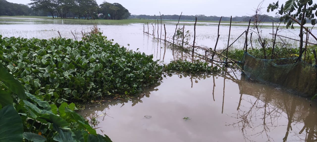 গলাচিপায় নিষ্কাশন খাল ভরাট: জলাবদ্ধতায় ডুবছে কৃষকের স্বপ্ন, সমাধানের দাবি