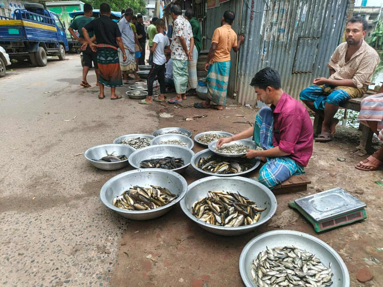 পূবাইলে দেশি মাছের মৌসুমি বাজারে ক্রেতার ভিড়
