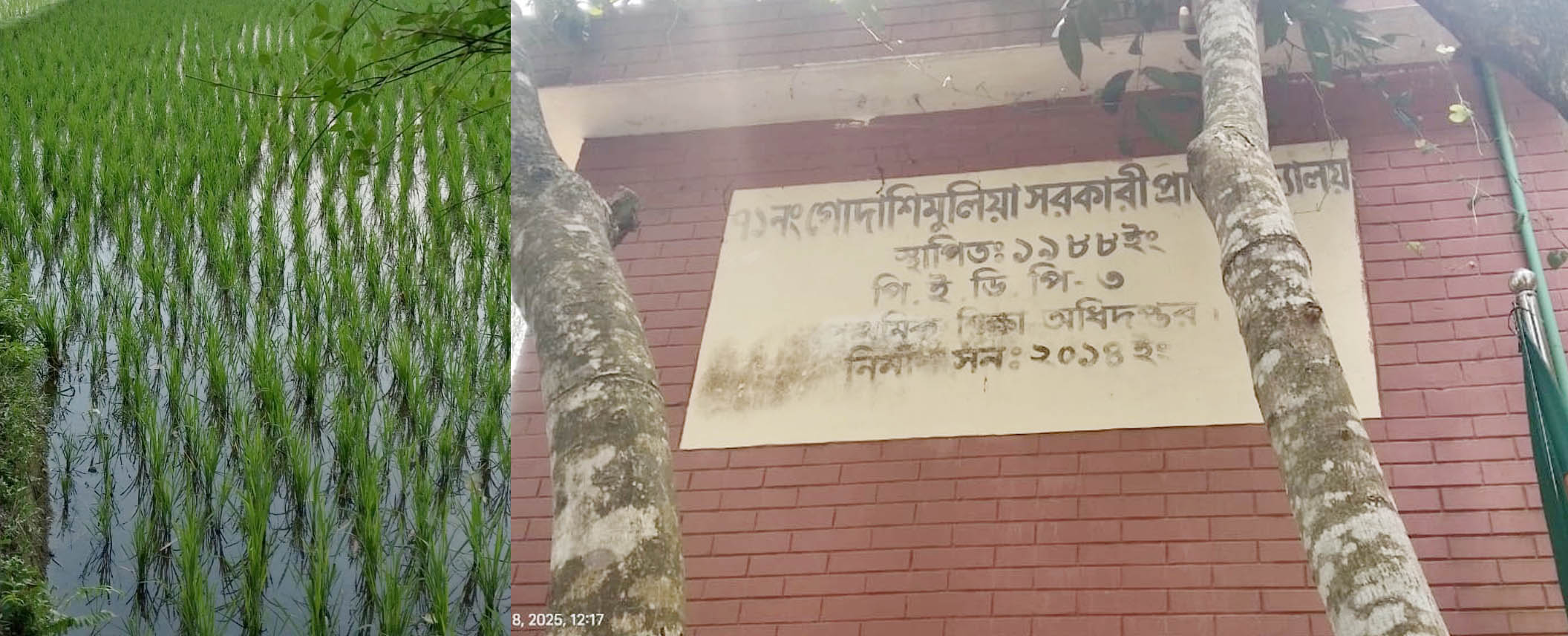 মাদারগঞ্জে স্কুলের জমি বর্গার টাকা দিয়ে করে পিকনিক