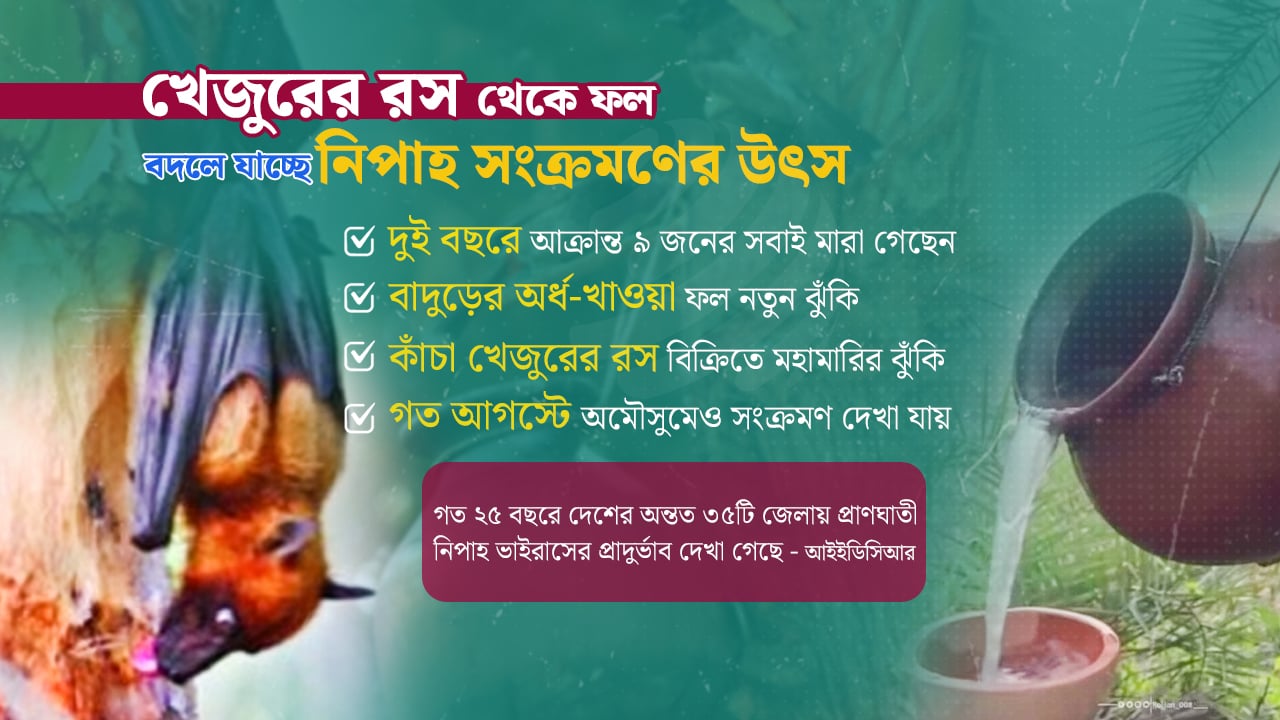 অনিরাপদ খেজুরের রসে বাড়ছে ঝুঁকি