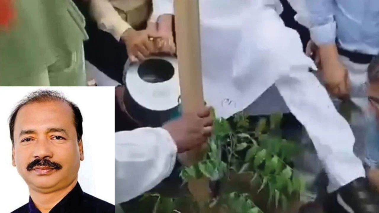 বৃক্ষরোপণ কর্মসূচিতে বিএনপি নেতাকে লাথি মারার ভিডিও ভাইরাল, সমালোচনায় এমপি আবুল কালাম