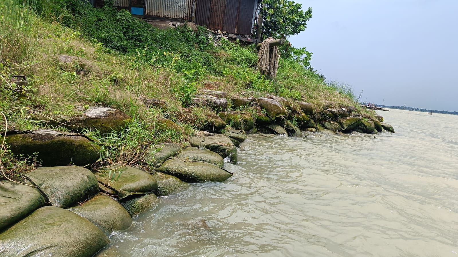 গজারিয়ার ইসমানিরচরে নদীভাঙন আতঙ্ক, বর্ষা এলেই দুশ্চিন্তায় শতাধিক পরিবার