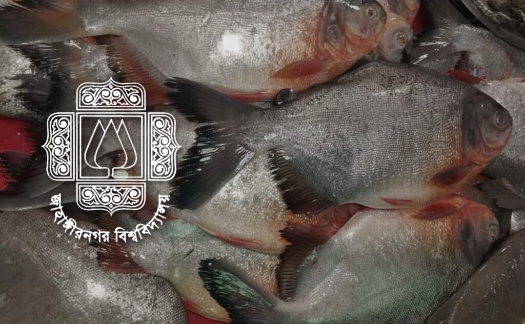 নিষিদ্ধ পিরানহা মাছ বিক্রির অভিযোগে জাবিতে অভিযান, হোটেল বন্ধ