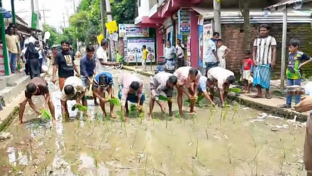 সংস্কারকাজ ফেলে ঠিকাদার উধাও, ধানের চারা রোপণ করে ক্ষোভ এলাকাবাসীর