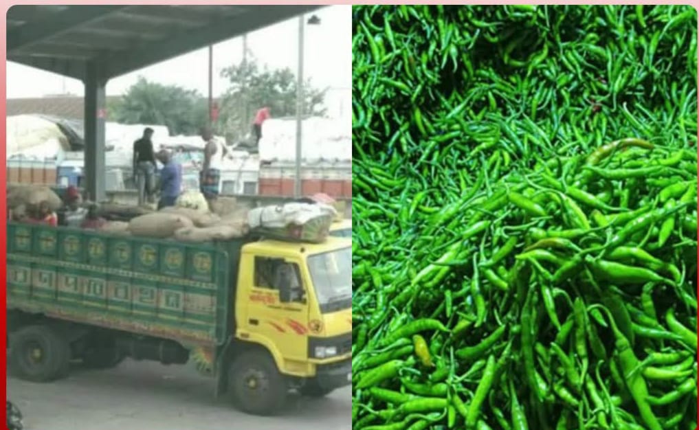 বেনাপোল স্থলবন্দরে ১৫ টন কাঁচা মরিচ আমদানি