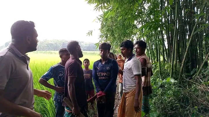 ঝিনাইদহ জেলার, মহেশপুরে নেশাগ্রস্থ ছেলের হাতে মা খুন