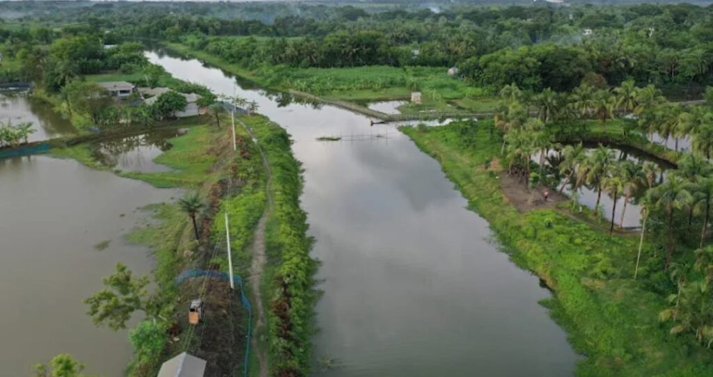 বিল ডাকাতিয়া : দুঃসহ স্মৃতি ও নতুন স্বপ্ন