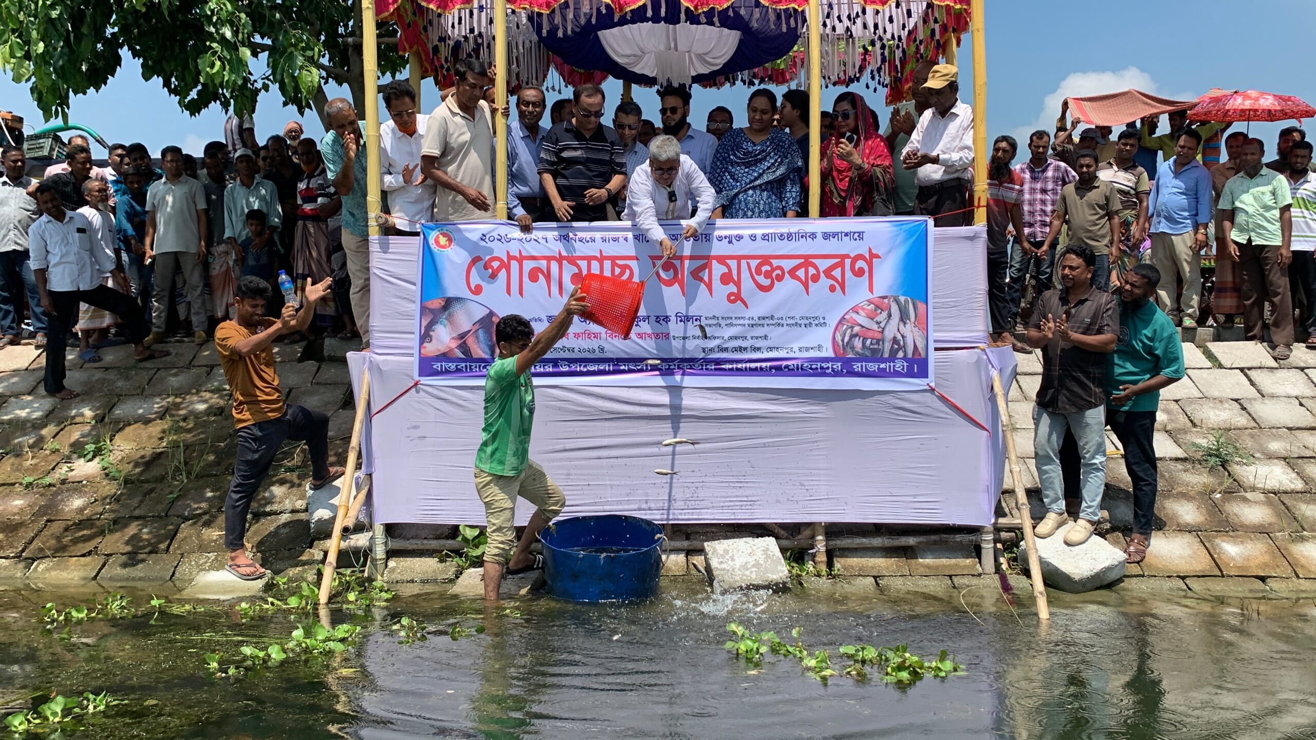 রাজশাহী মোহনপুরে উন্মুক্ত জলাশয়ে পোনামাছ অবমুক্তকরণ কর্মসূচির উদ্বোধন করলেন এমপি মিলন