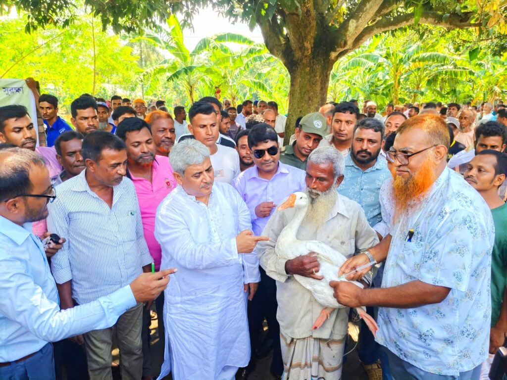 রাজশাহী পবায় বিনামূল্যে ৮৩ হাজার গবাদিপশু ও হাঁস-মুরগিকে টিকাদান, স্বস্তিতে প্রান্তিক খামারিরা