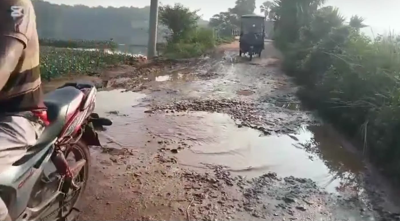 কালিয়াকৈরে পিচঢালাই রাস্তা চলাচলের অযোগ্য,ক্ষোভে ফুঁসছে এলাকাবাসী