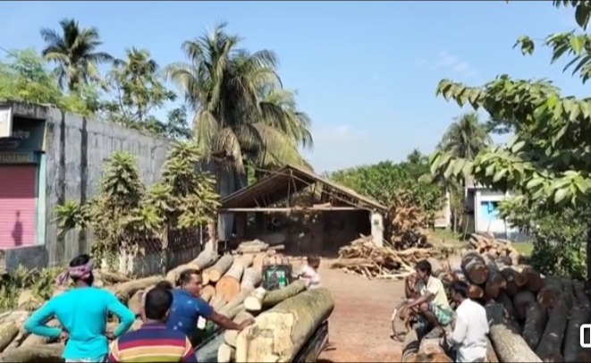 পরিবেশ ছাড়পত্র ছাড়াই ৫০টিরও বেশি অবৈধ করাত কল: মাসিক ‘মাসোহারা’র বিনিময়ে ম্যানেজ প্রশাসন!